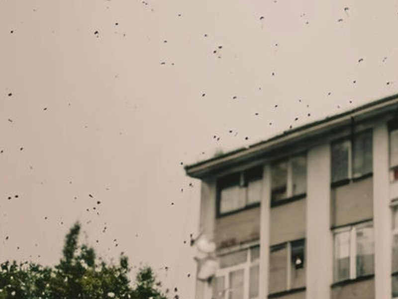 醜聞 第二季